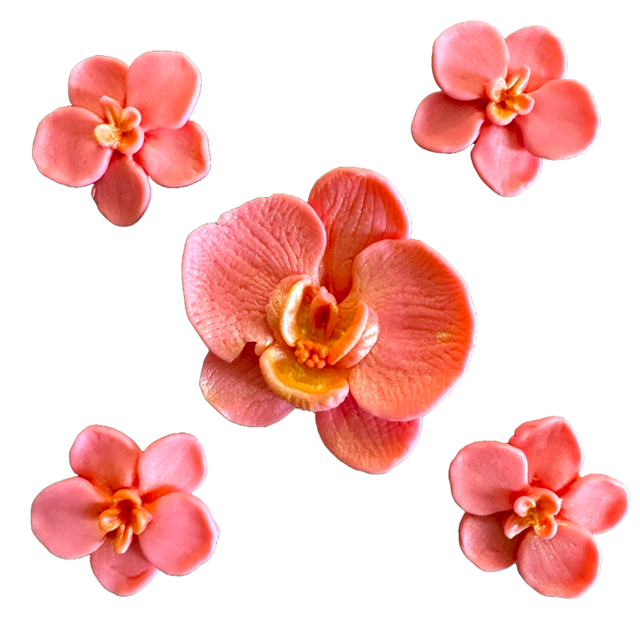 Set 5 decoratiuni comestibile din pasta de zahar, Orhidee roz Decoratiuni din Pasta de Zahar Nati Shop