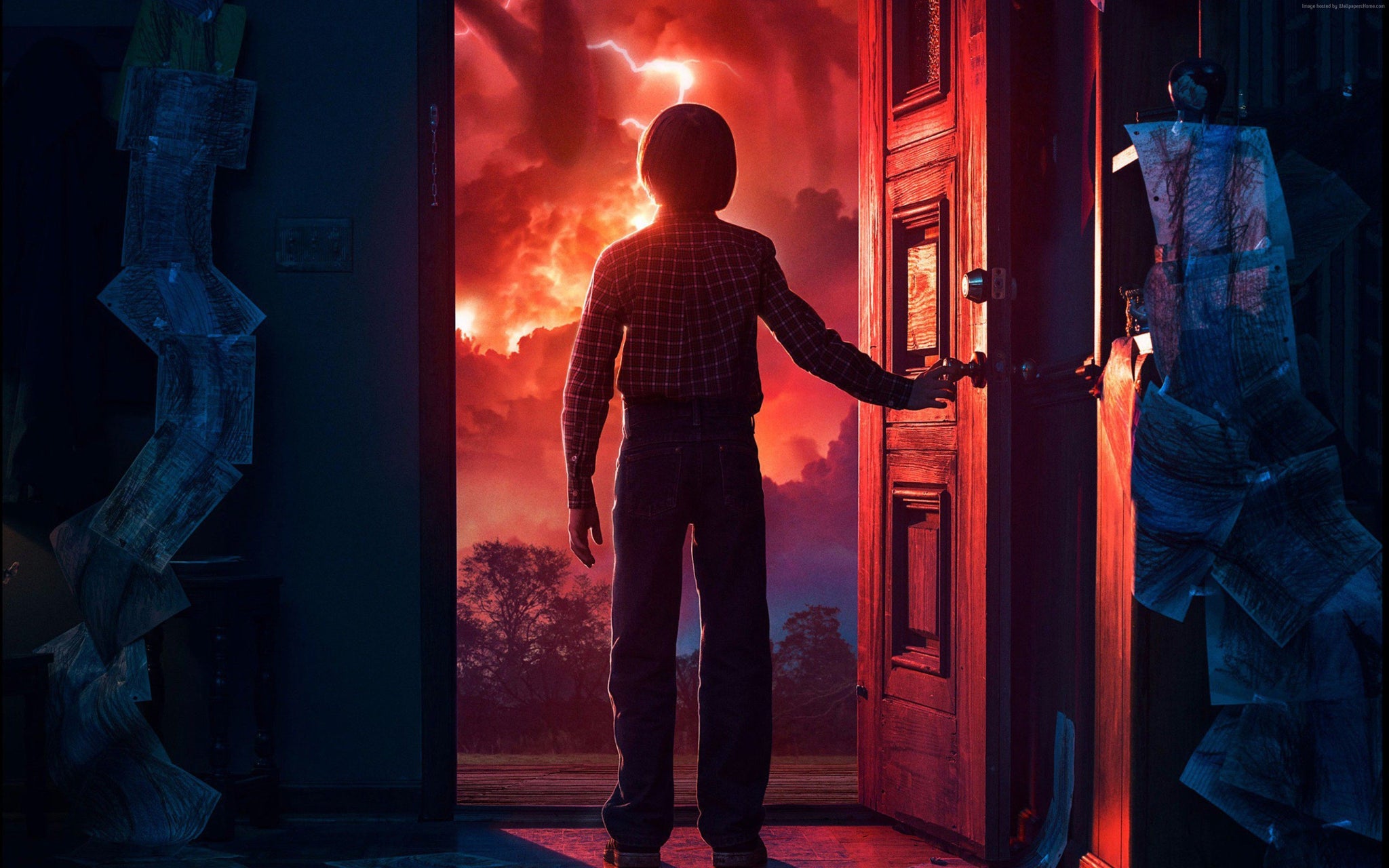 Imagine Comestibilă - Filme