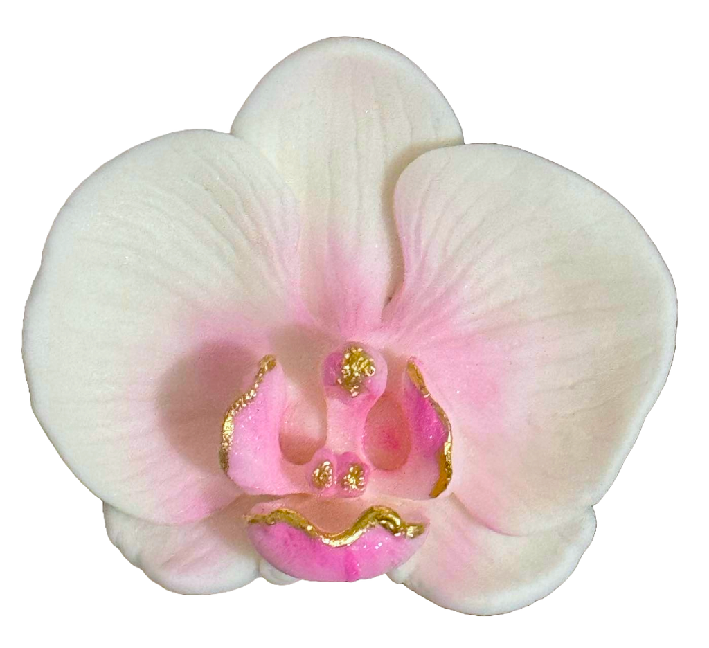 Decoratiune comestibila din zahar, Orhidee alba - Nati Shop 
