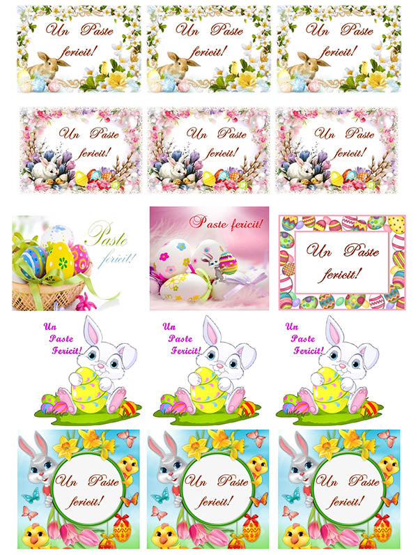 Imagine Comestibilă - paste