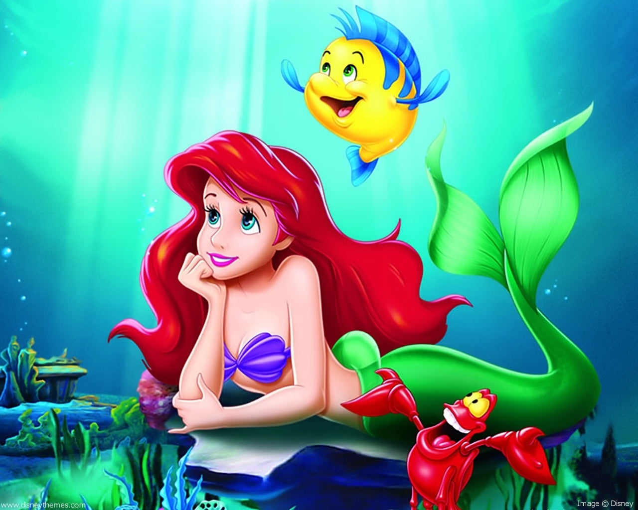 Imagine Comestibilă - Ariel
