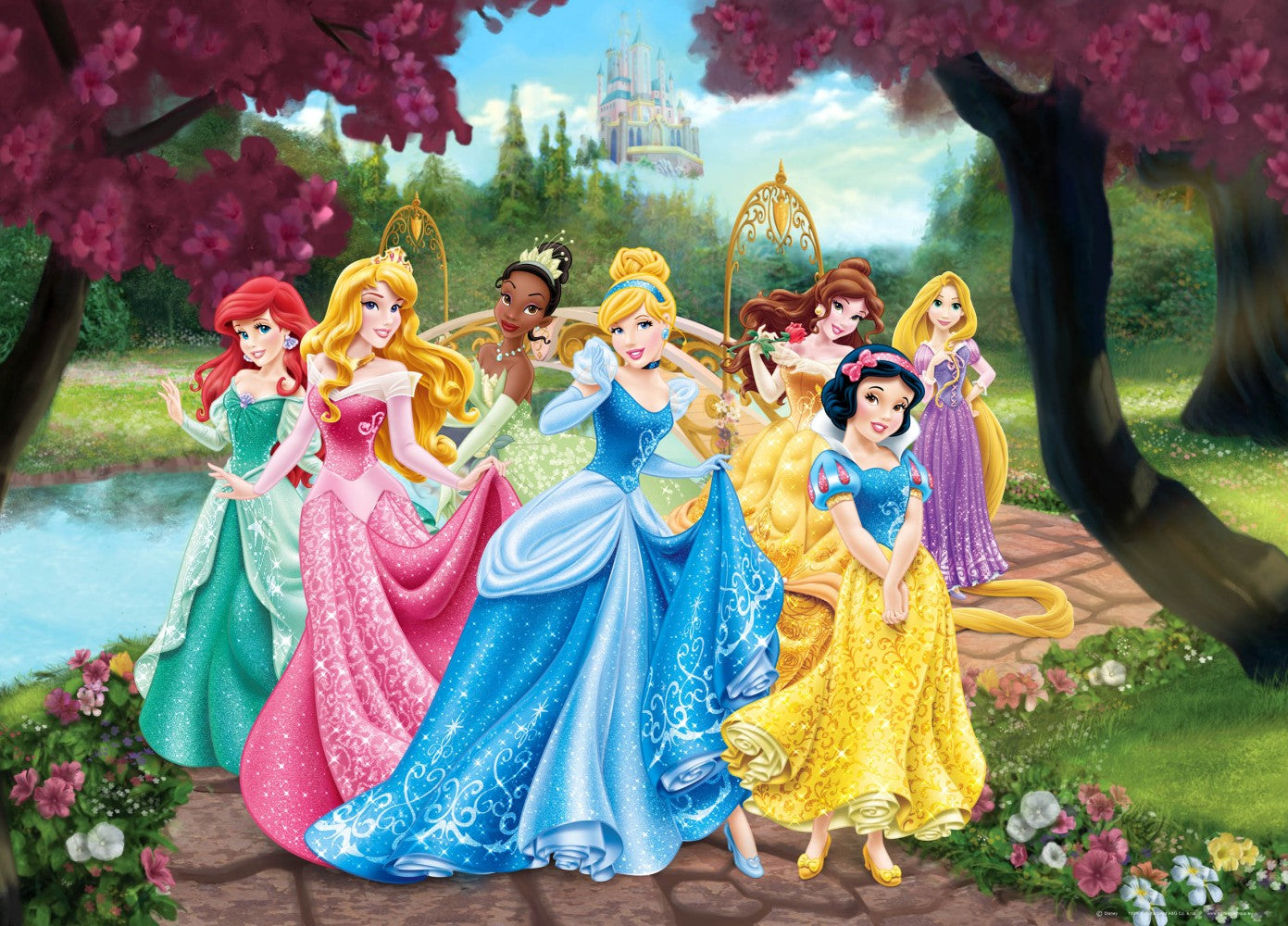 Imagine Comestibilă - Disney princess