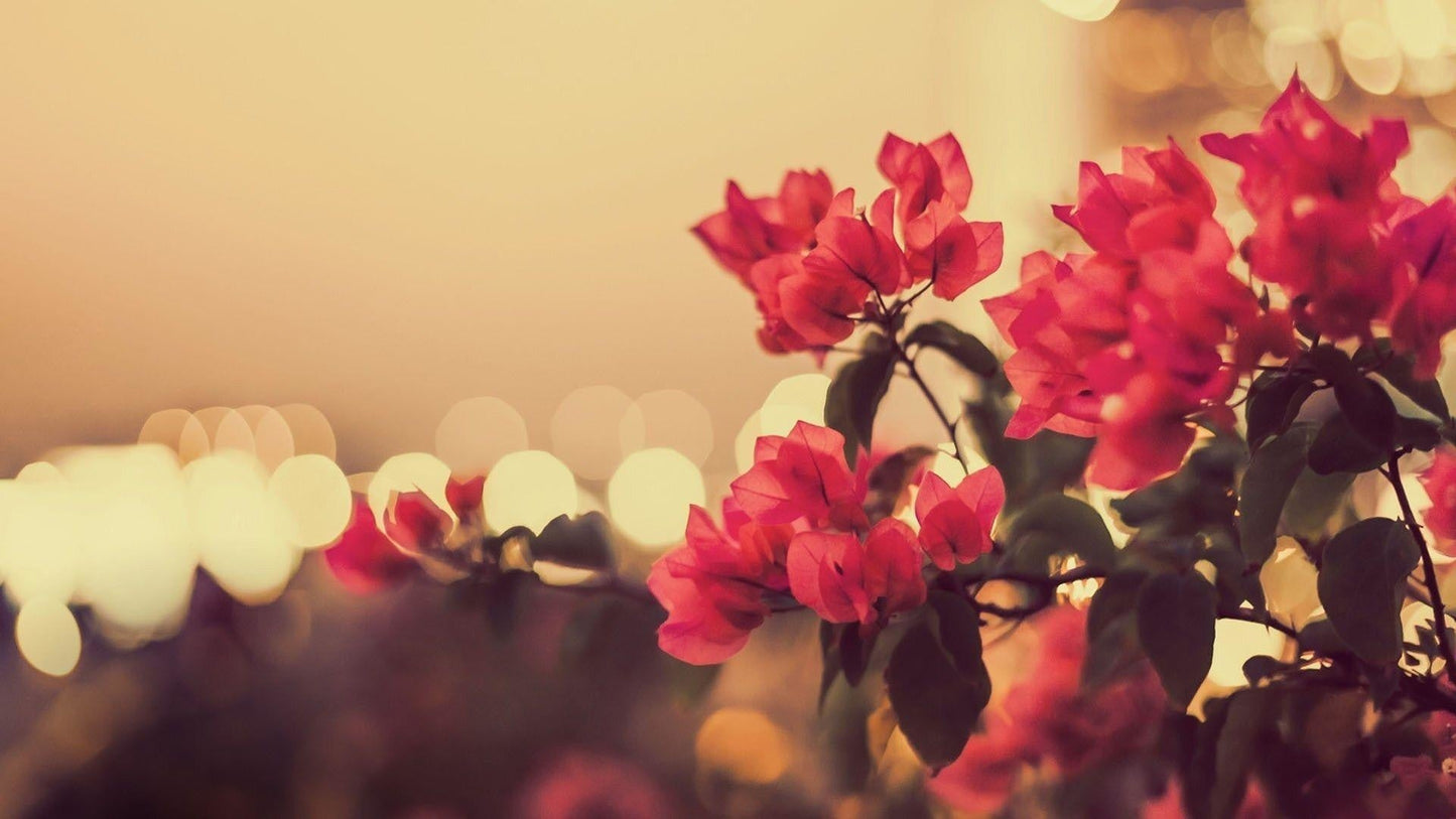Imagine Comestibilă - Vintage Flowers