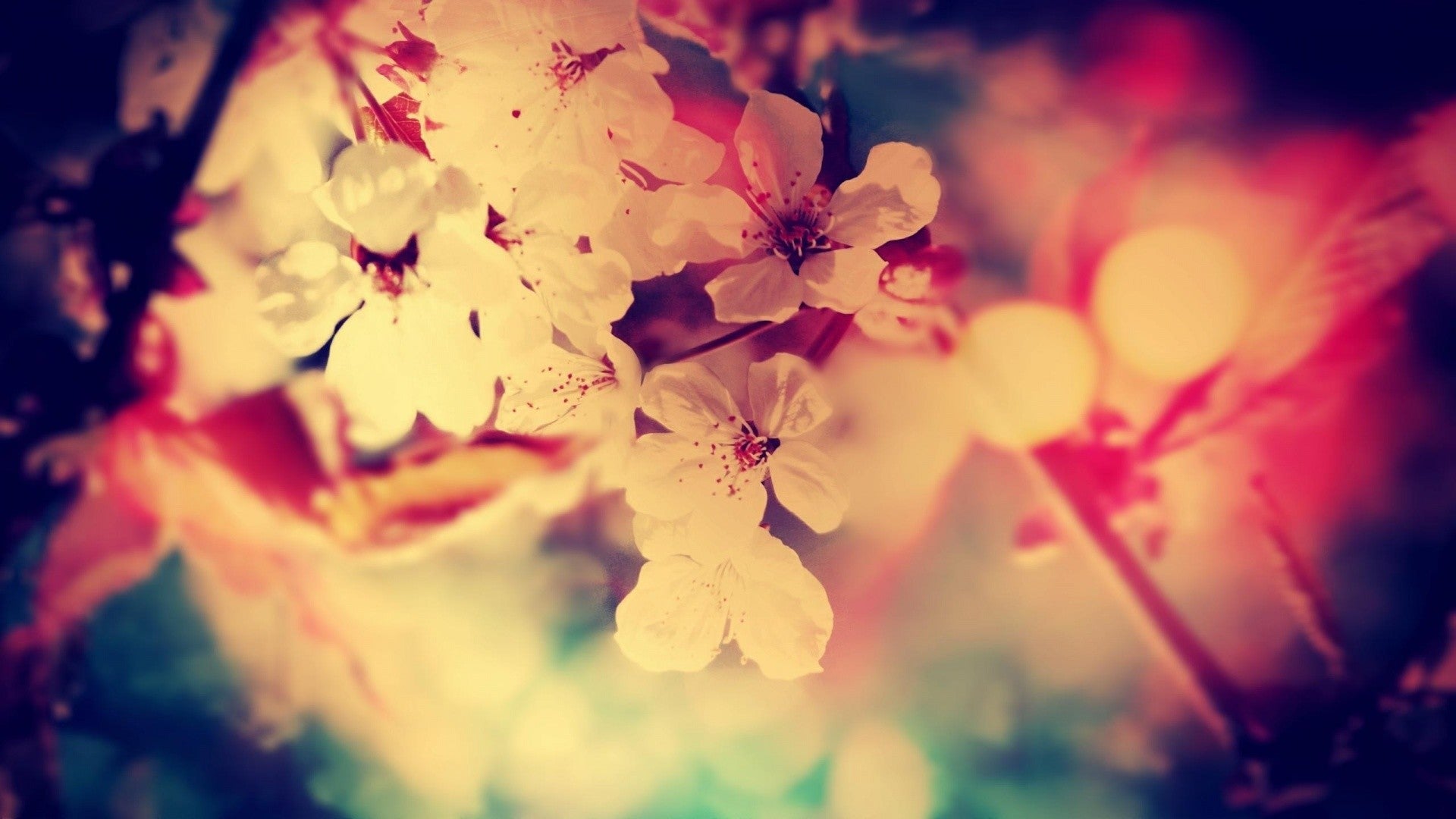 Imagine Comestibilă - Vintage Flowers