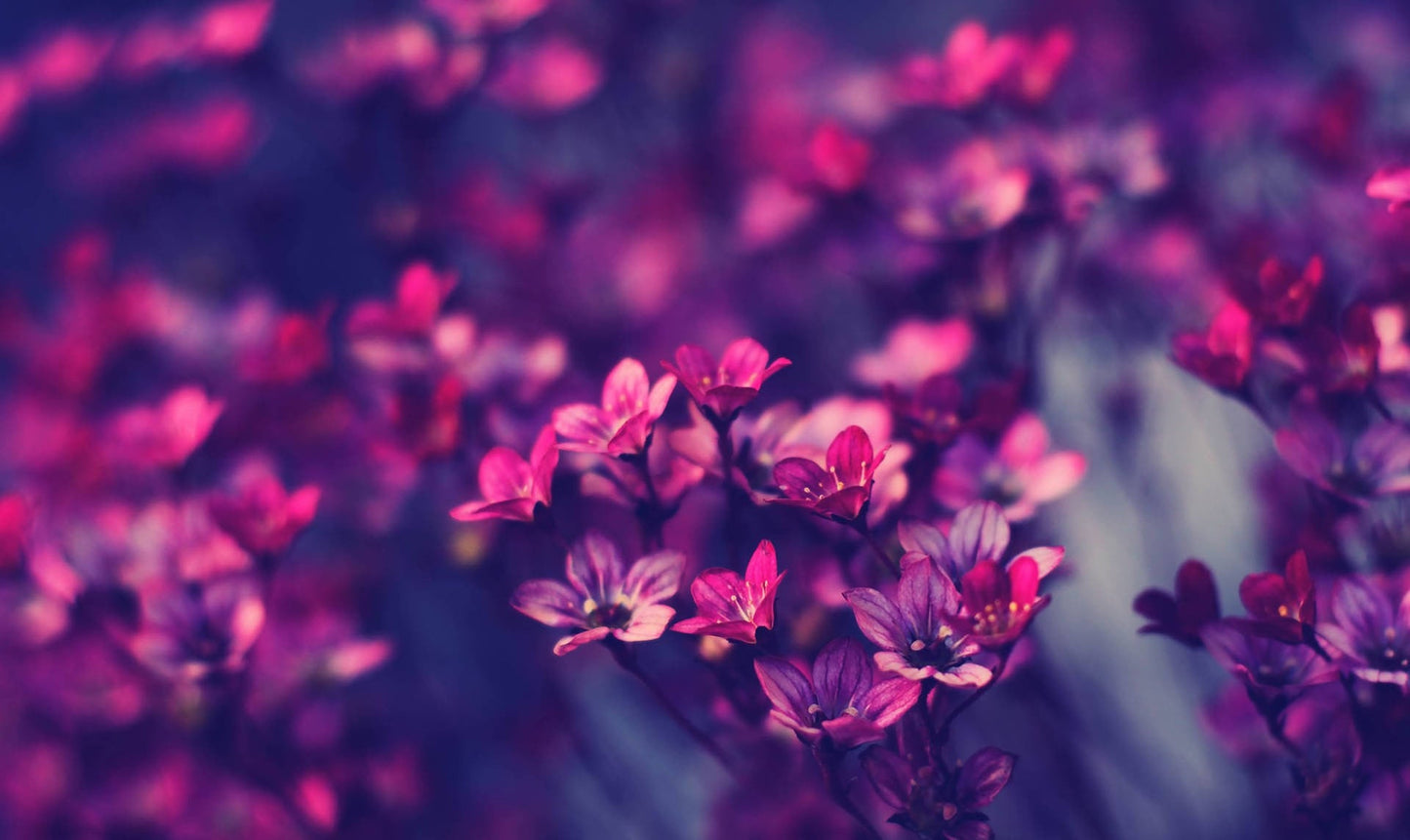 Imagine Comestibilă - Vintage Flowers