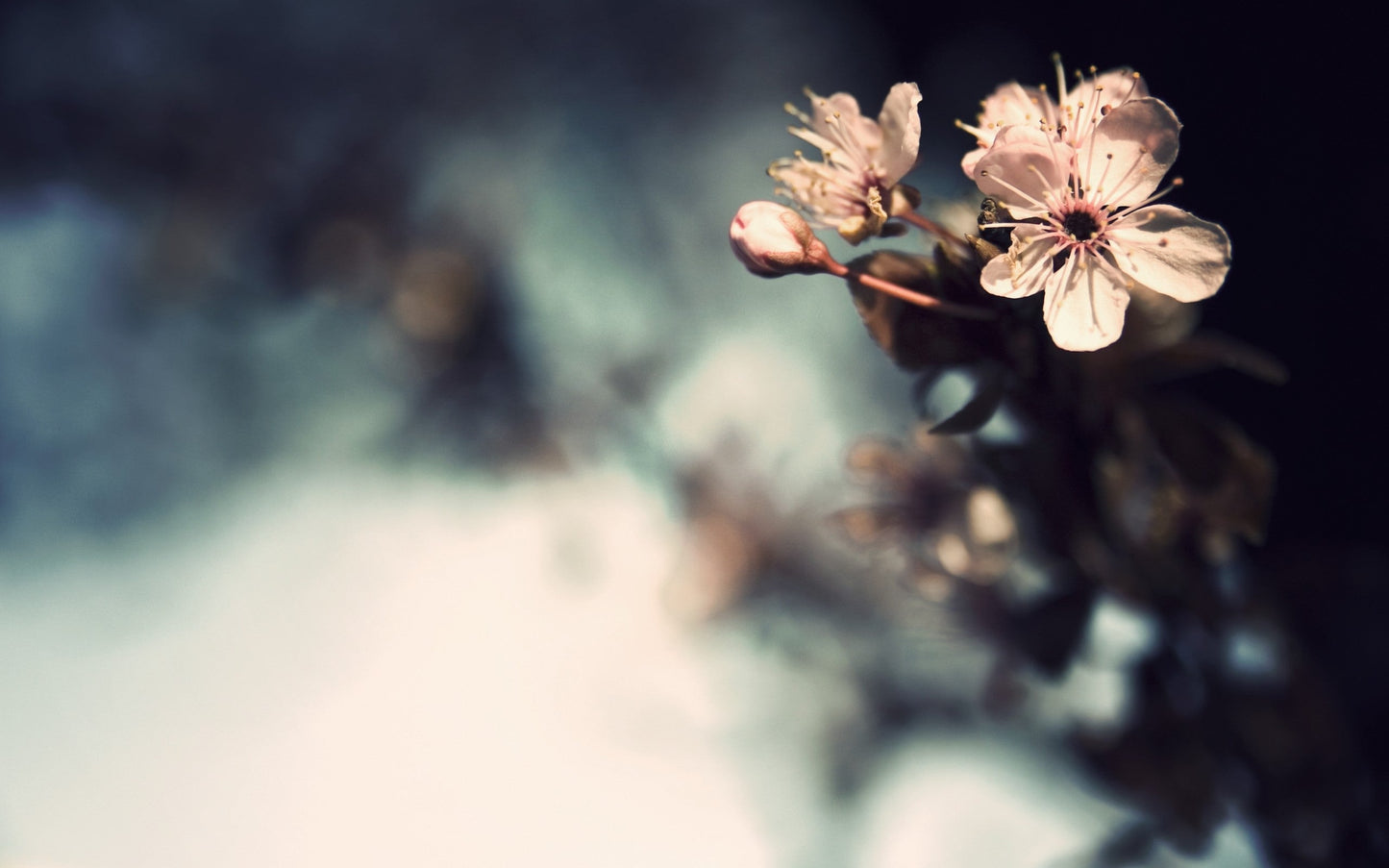 Imagine Comestibilă - Vintage Flowers
