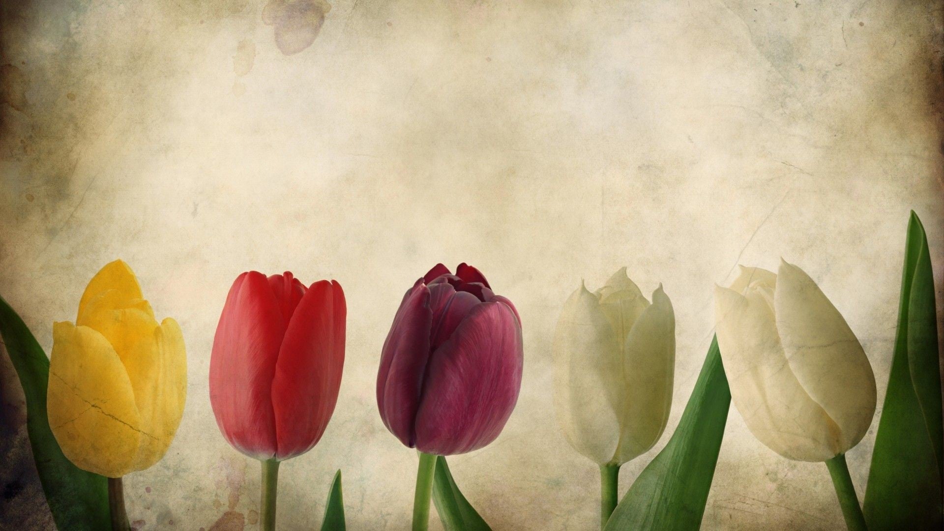 Imagine Comestibilă - Vintage Flowers