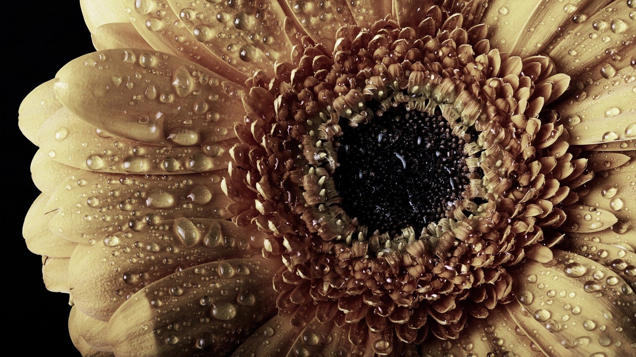 Imagine Comestibilă - Vintage Flowers