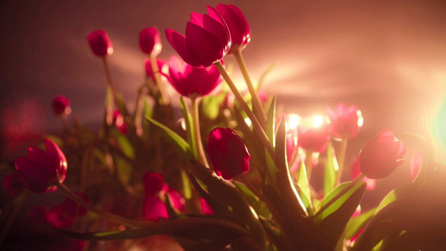 Imagine Comestibilă - Vintage Flowers