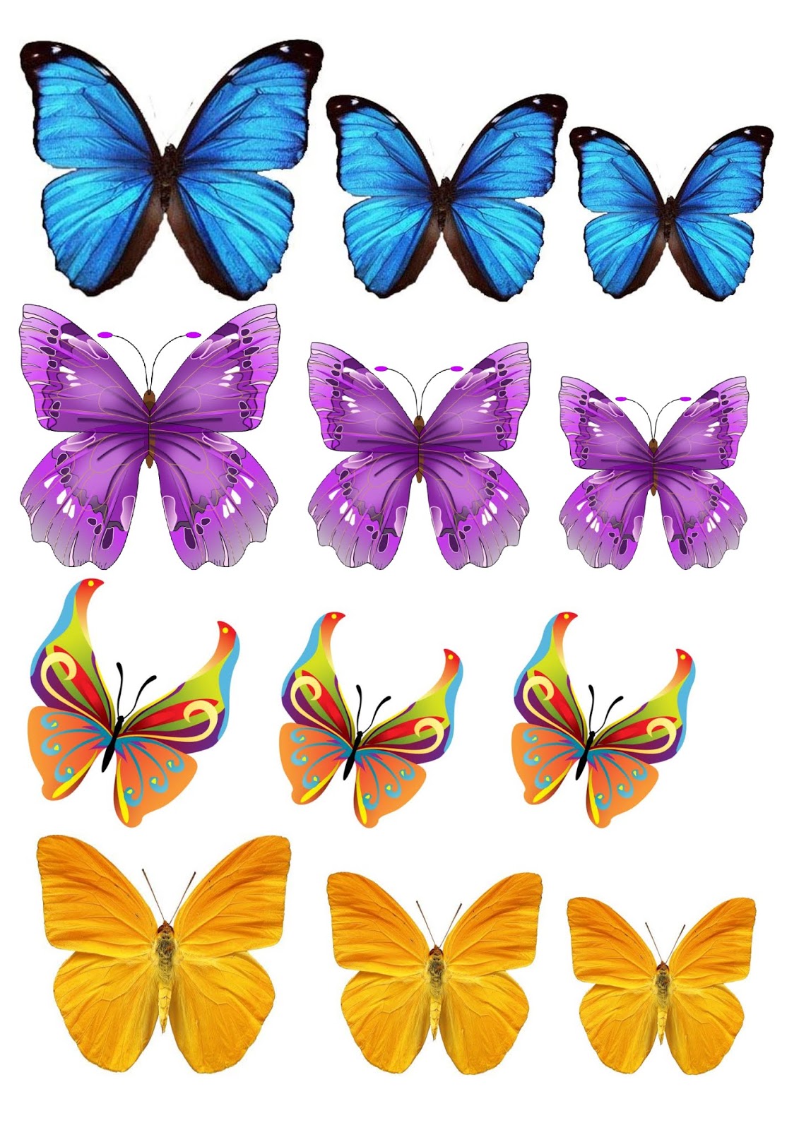 Imagine Comestibilă - diverse