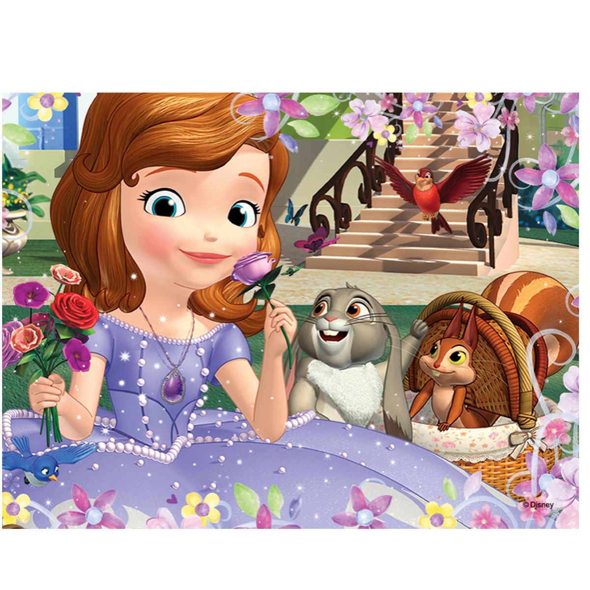 Imagine Comestibilă - sofia