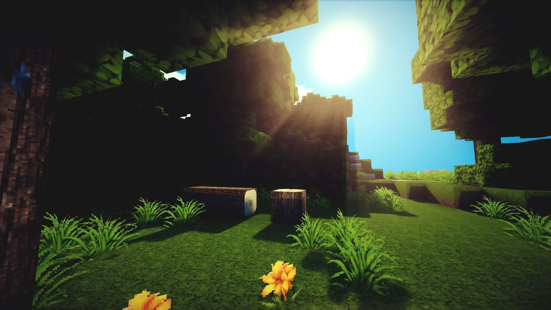 Imagine Comestibilă - Minecraft