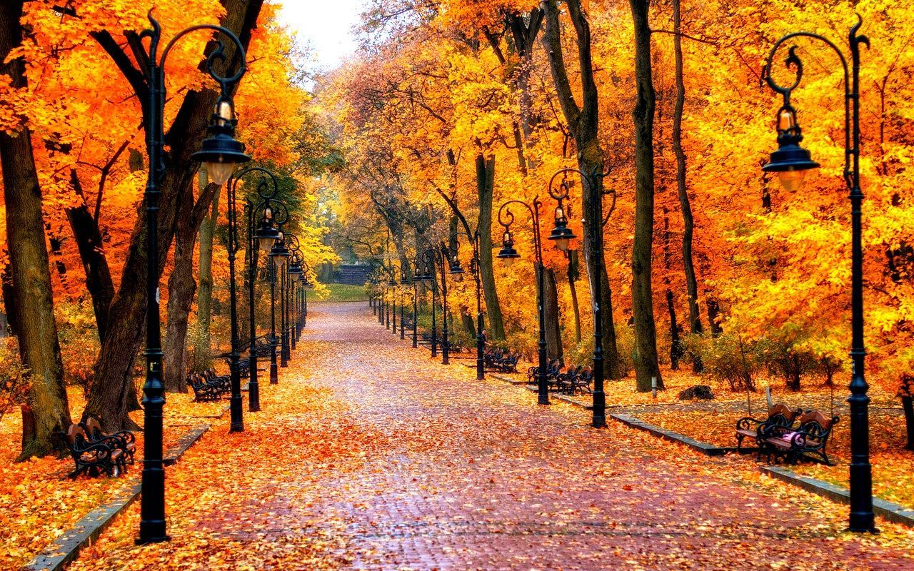 Imagine Comestibilă - Toamna