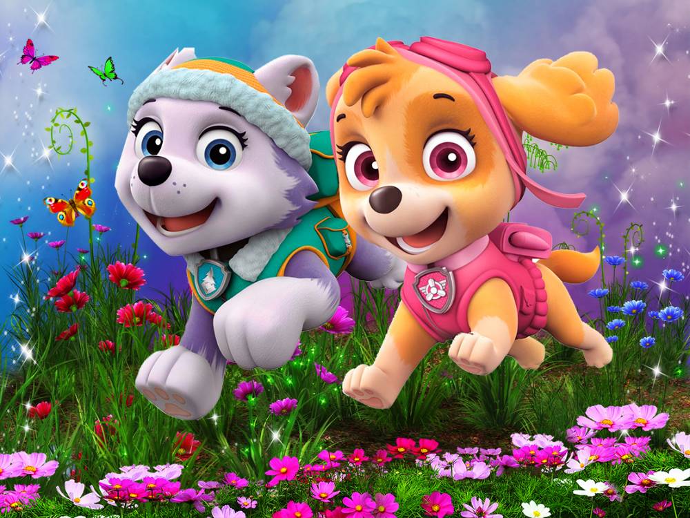 Imagine Comestibilă - patrula catelusilor