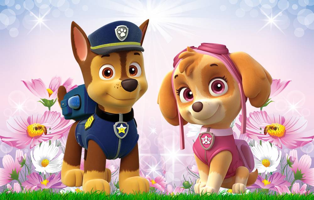 Imagine Comestibilă - patrula catelusilor