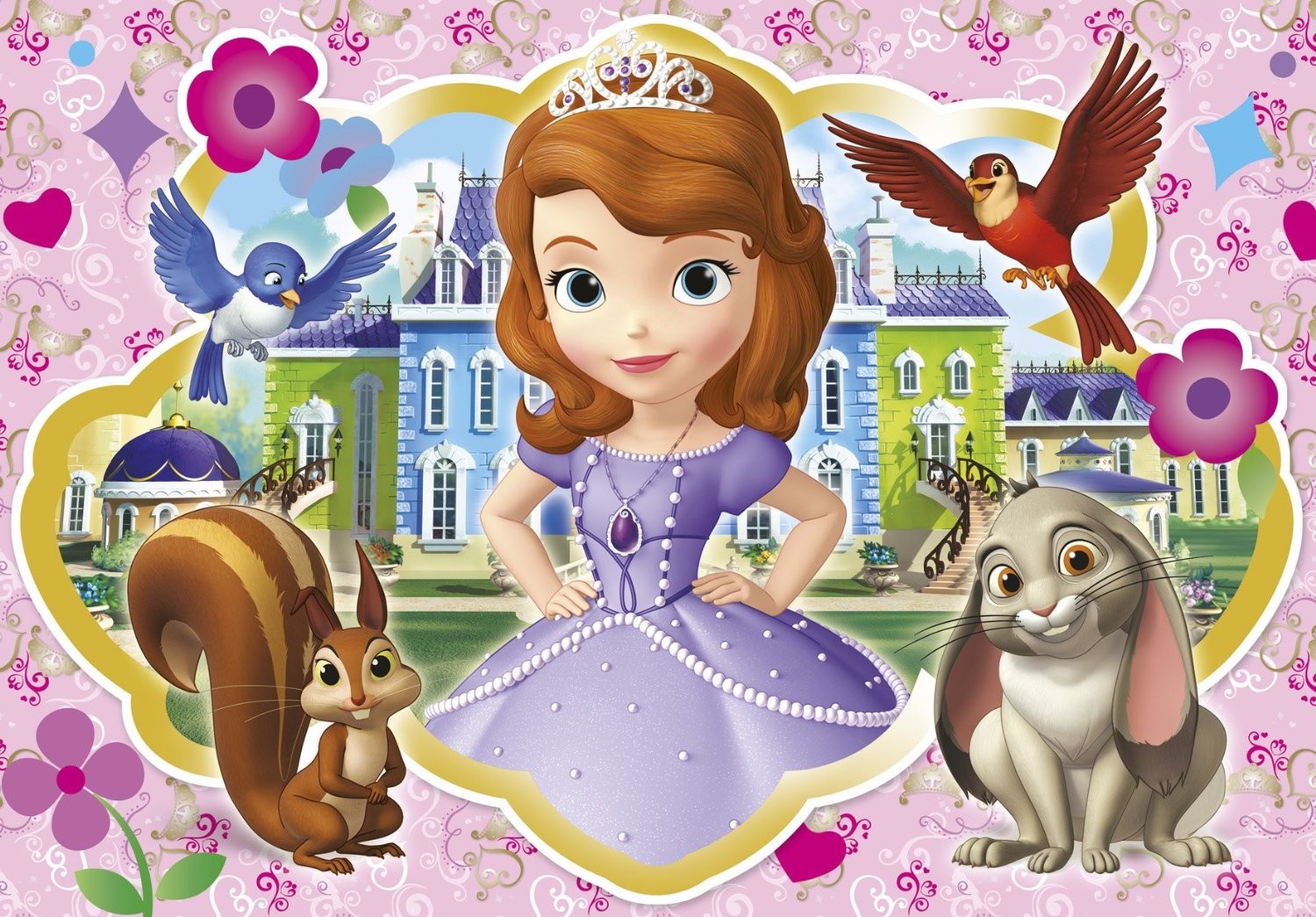 Imagine Comestibilă - sofia