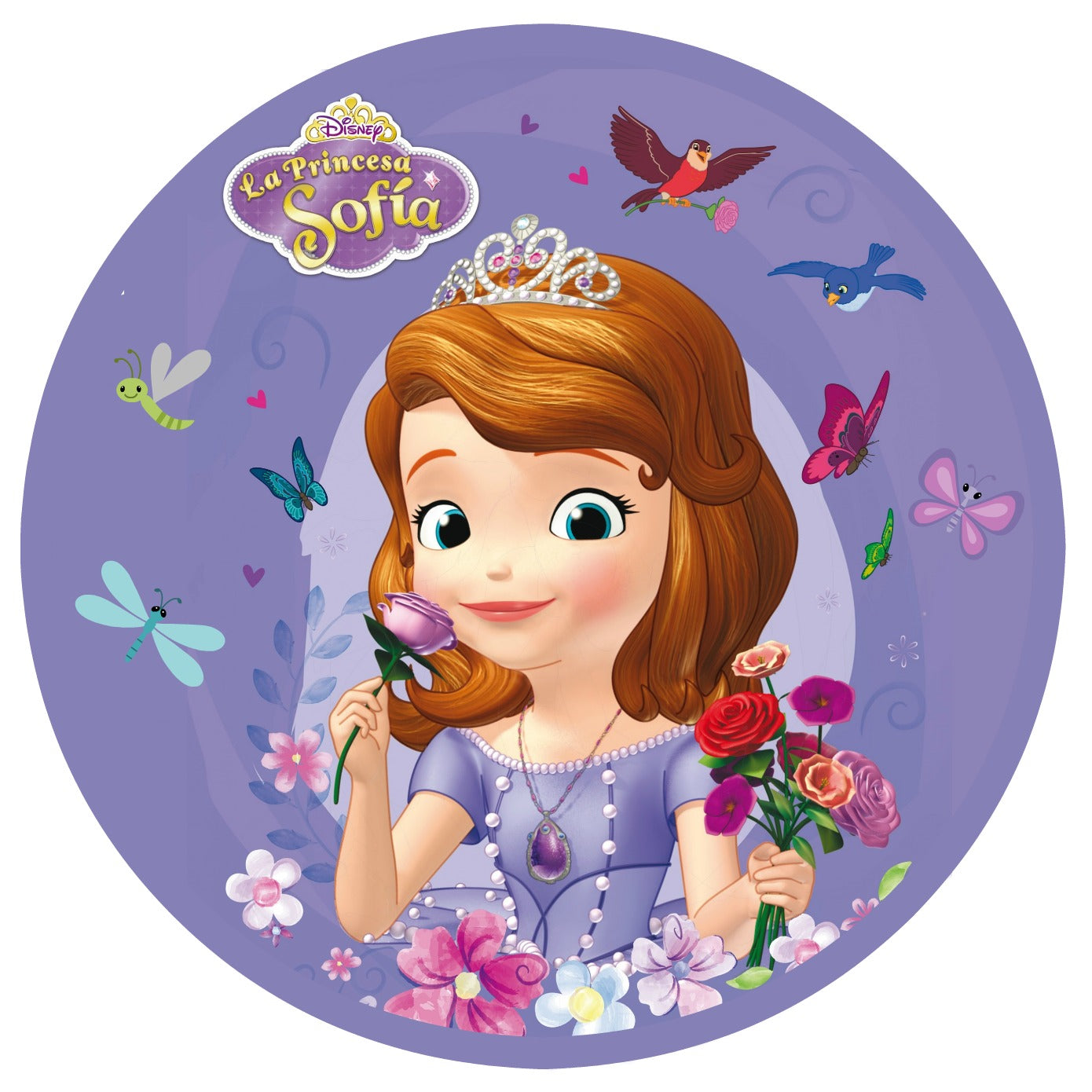 Imagine Comestibilă - sofia