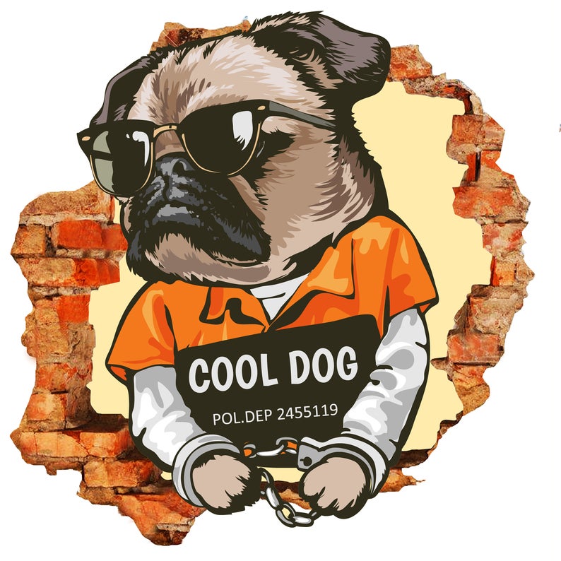 Imagine Comestibilă - diverse