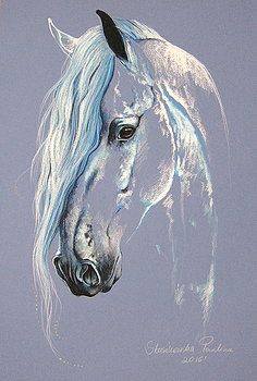 Imagine Comestibilă - diverse