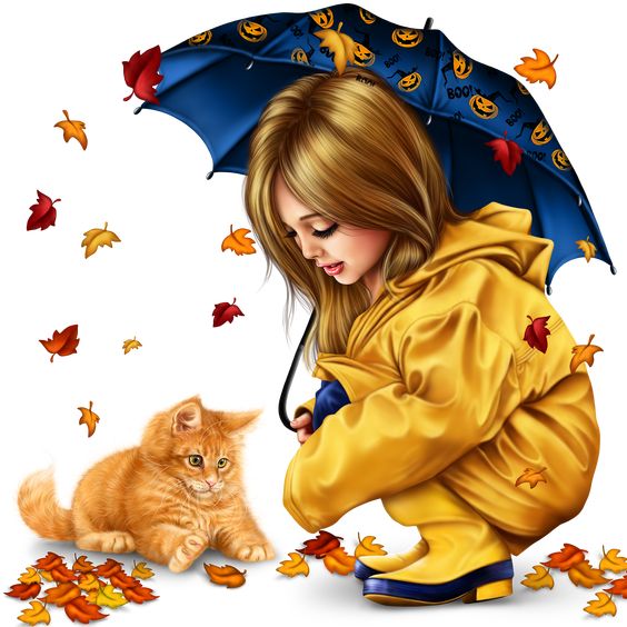 Imagine Comestibilă - diverse