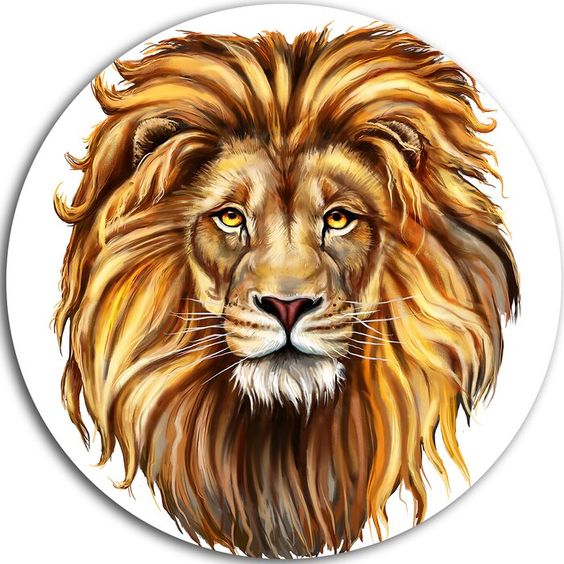 Imagine Comestibilă - diverse