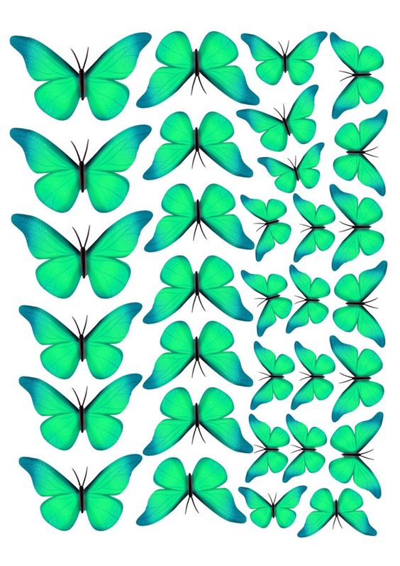 Imagine Comestibilă - noi