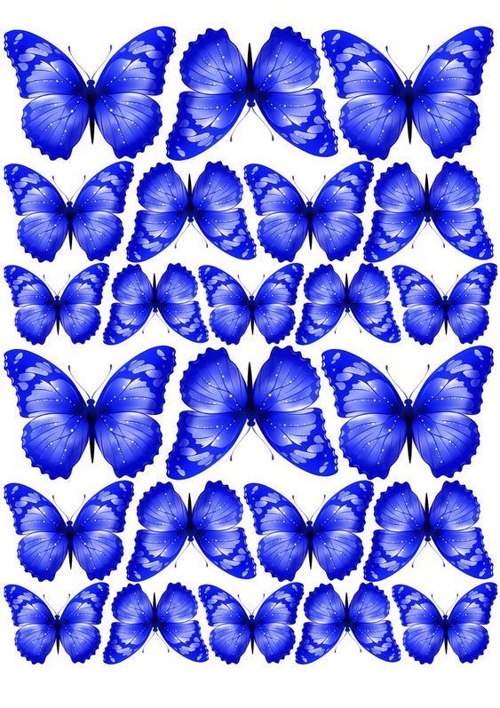 Imagine Comestibilă - noi