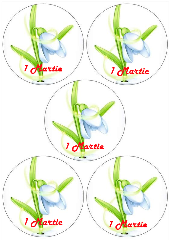 Imagine Comestibilă - de mutat pe stick