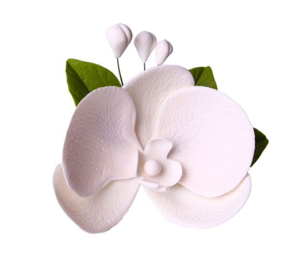 Decoratiuni pasta de zahar, Orhidee, Alba,frunze verzi,marime mare