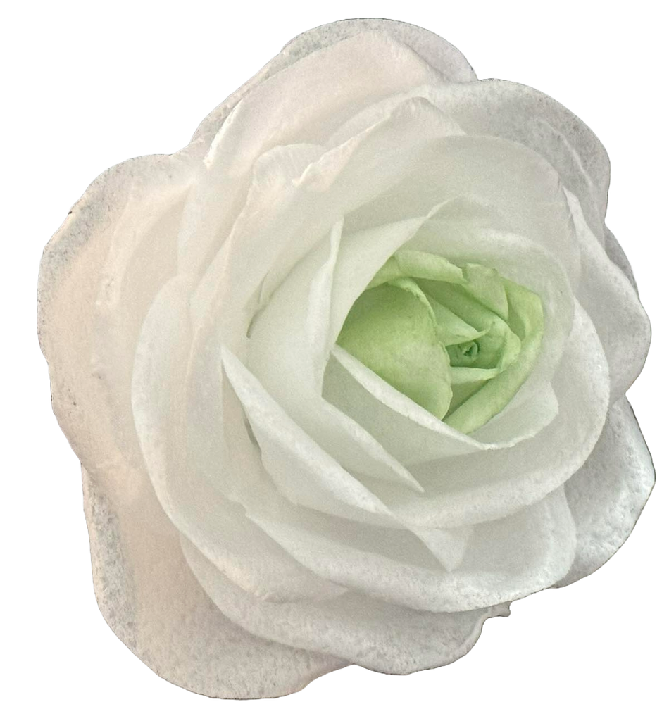 Decoratiune comestibila din vafa, Trandafir alb cu verde - Nati Shop 