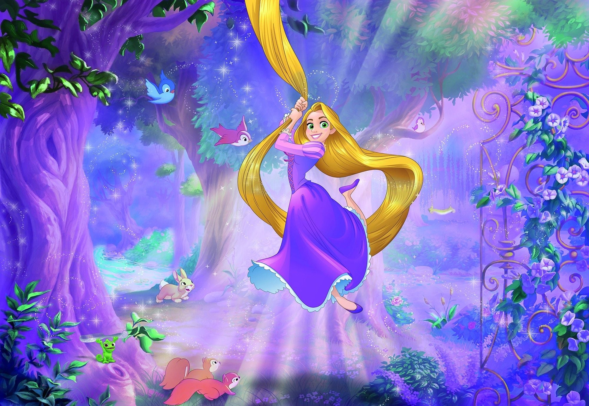 Imagine Comestibilă - rapunzel modele noi