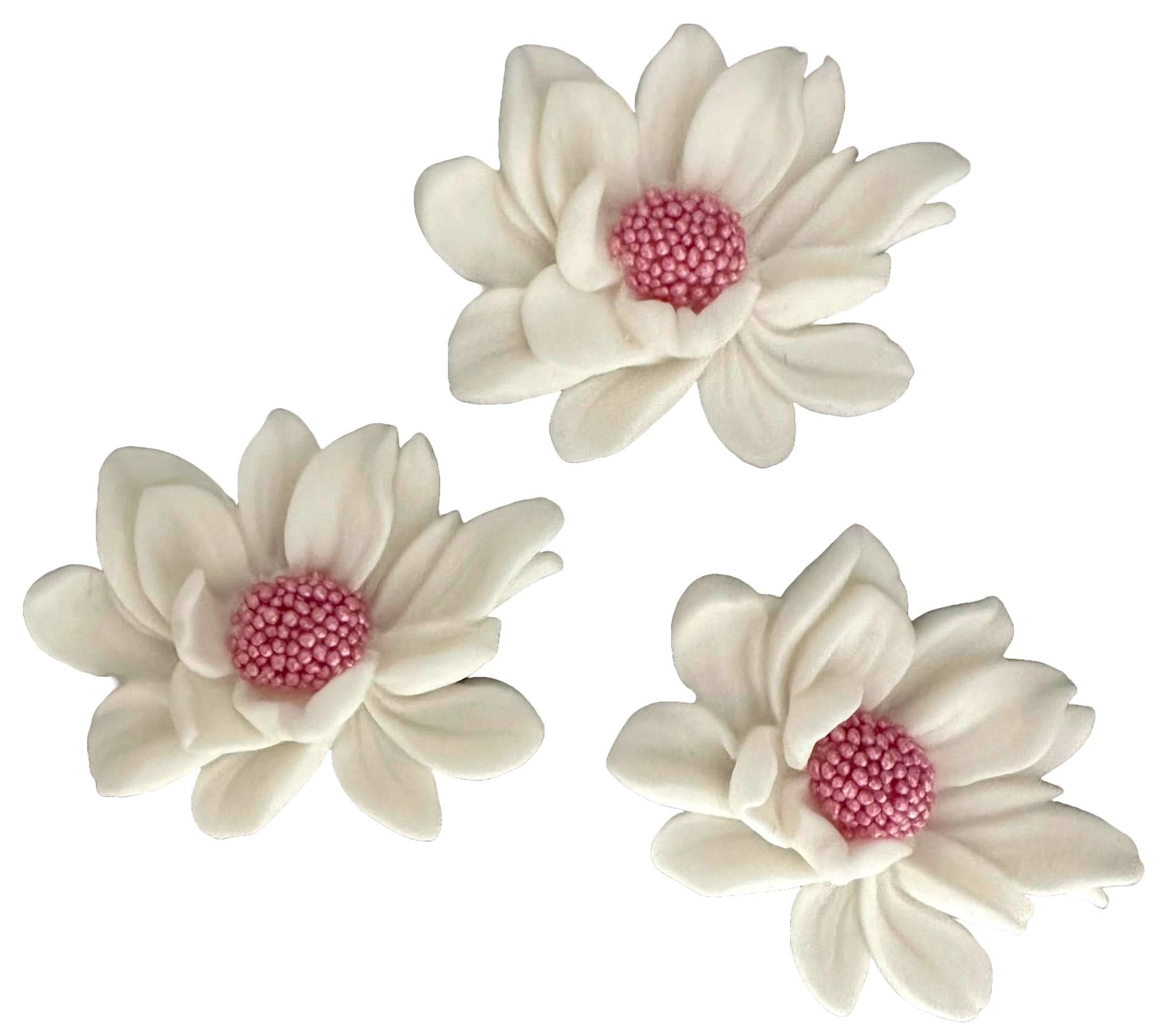 Set 3 decoratiuni comestibile din zahar, Flori albe Decoratiuni din Pasta de Zahar Nati Shop
