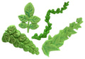 Set 4 decoratiuni comestibile din zahar, Crengute de frunze Decoratiuni din Pasta de Zahar Nati Shop