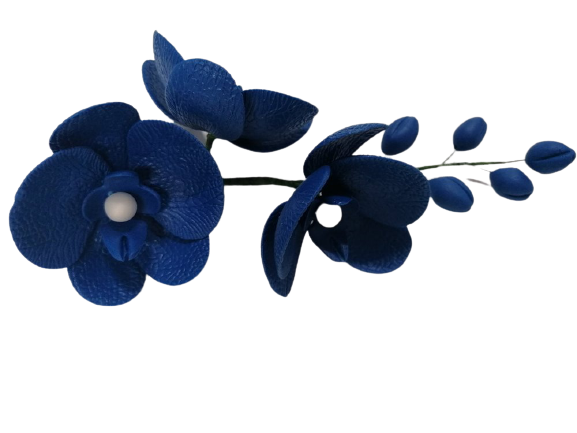Orhidee albastra zahar
